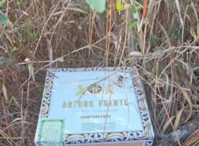 Orange Beach Treasure Hunters