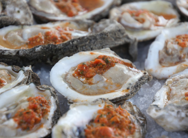 Experience the Oyster at the Hangout 2026