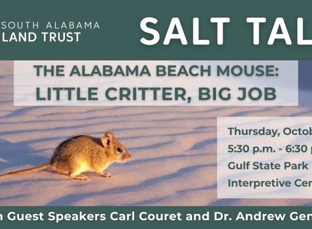 SALT Talk - The Alabama Beach Mouse: Little Critter, Big Job