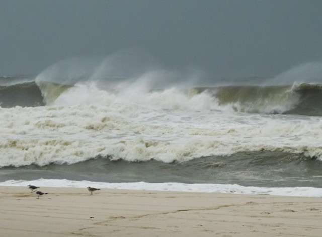 Hurricane Preparedness Expo
