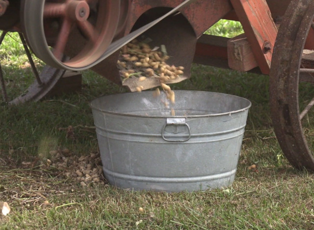 Olde Time Days at Bicentennial Park