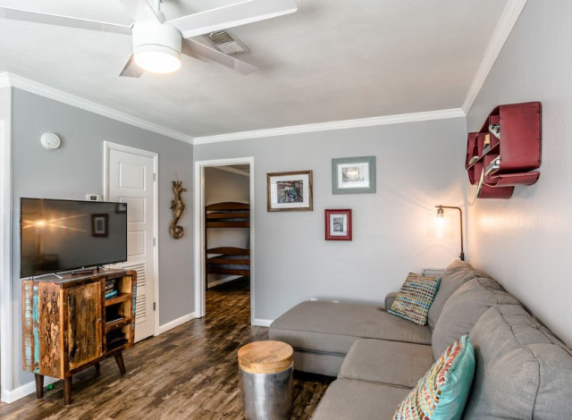 Pelagia Rentals