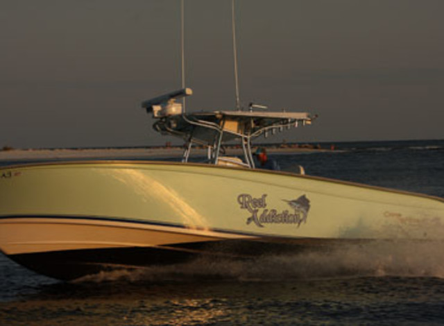 Reel Addiction Fishing Charters