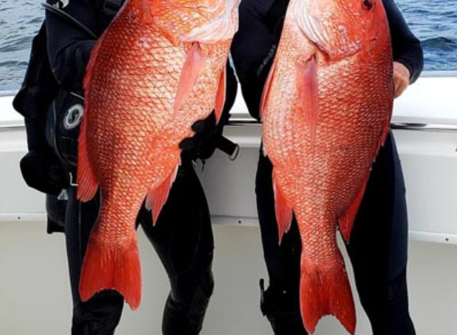 Reel Addiction Fishing Charters