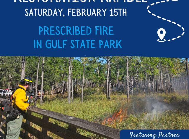 Restoration Ramble: Prescribed Fire in Gulf State Park
