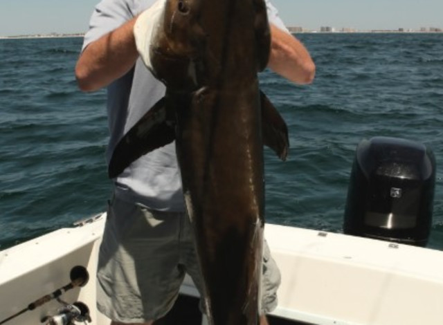 Southern Bend Fishing Charters