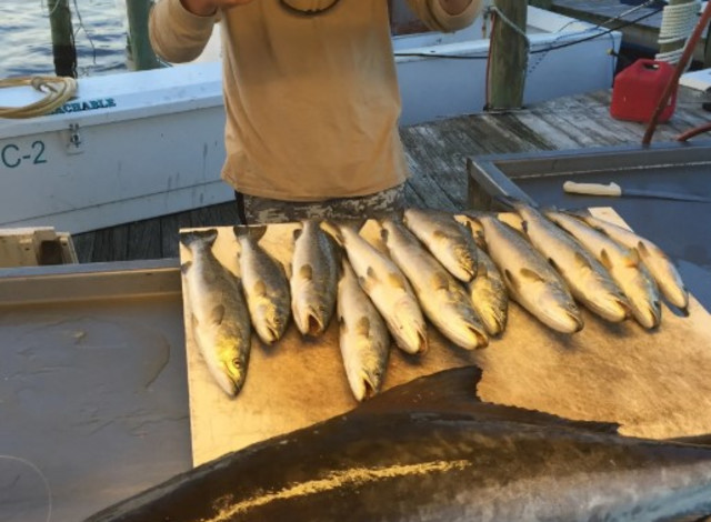 Southern Bend Fishing Charters