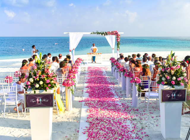 Sanddollar Beach Weddings & Catering