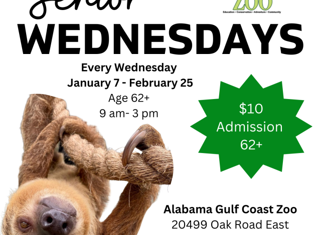 Senior Wednesdays  January & February