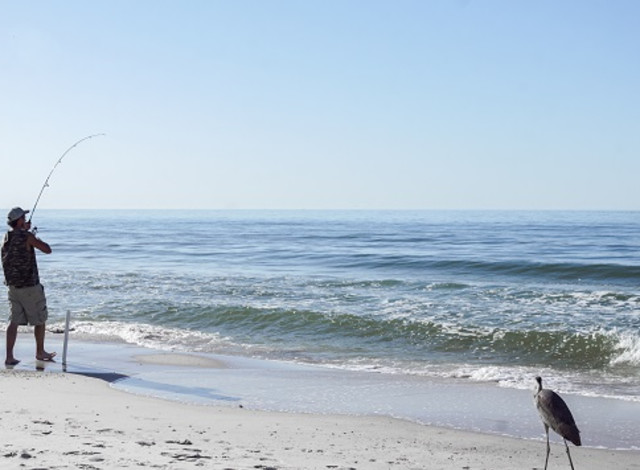 Alabama's Free Fishing Day!