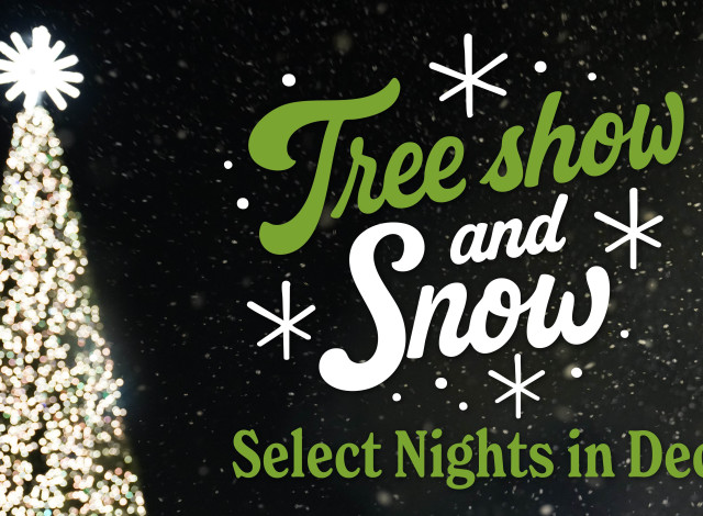 Tree Show & Snow