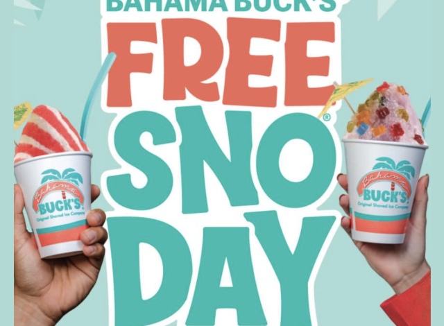 Free Sno Day