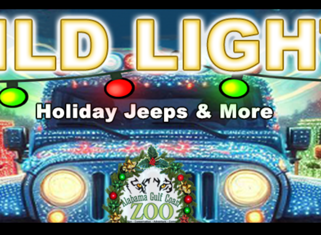 Wild Lights - Holiday Jeeps and More