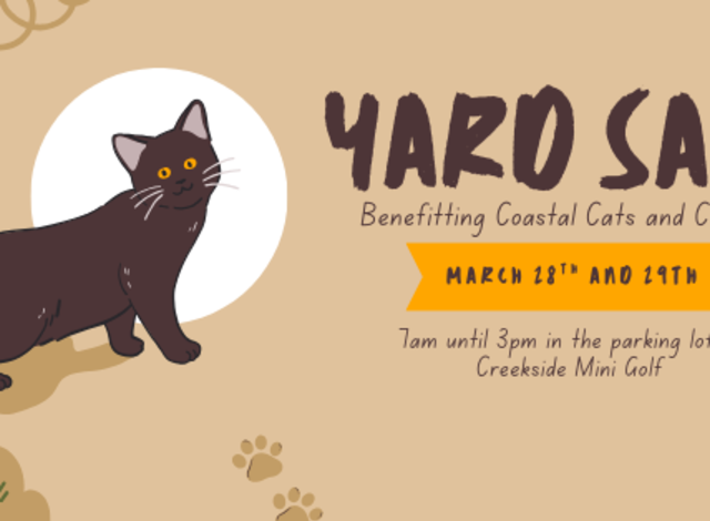 Coastal Cats and Critters Yard Sale