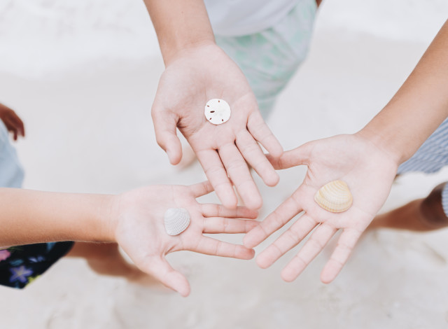 The Science of Nature: Beach Biology