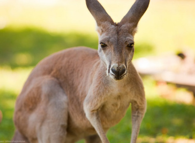 Junior Zookeeper for a Day Summer Premium Experience!