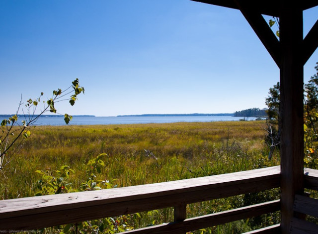 2025 Winter Showcase Series: Weeks Bay National Estuarine Research Reserve