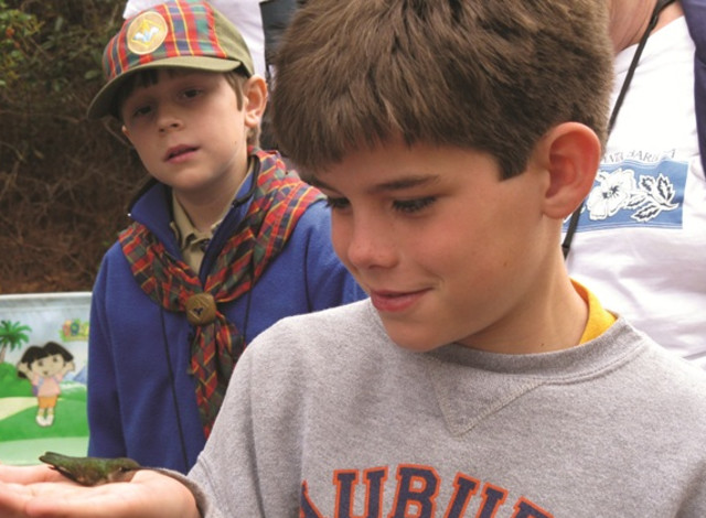 Coastal Bird Banding at Fort Morgan