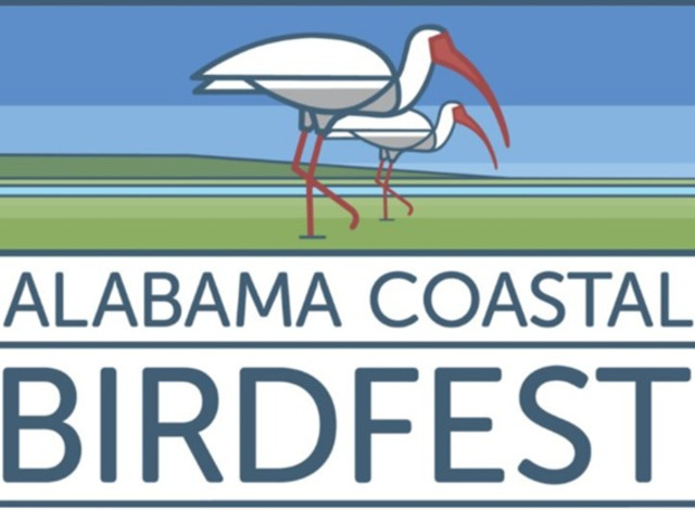 Alabama Coastal Birdfest