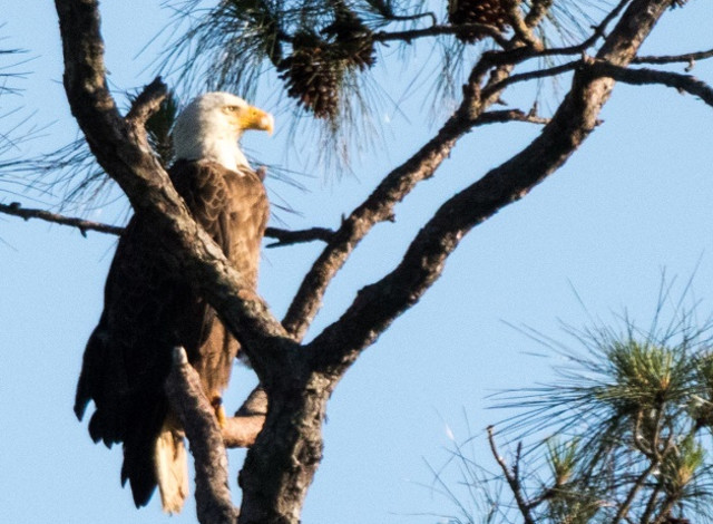 Gulf Coast Nature Expo