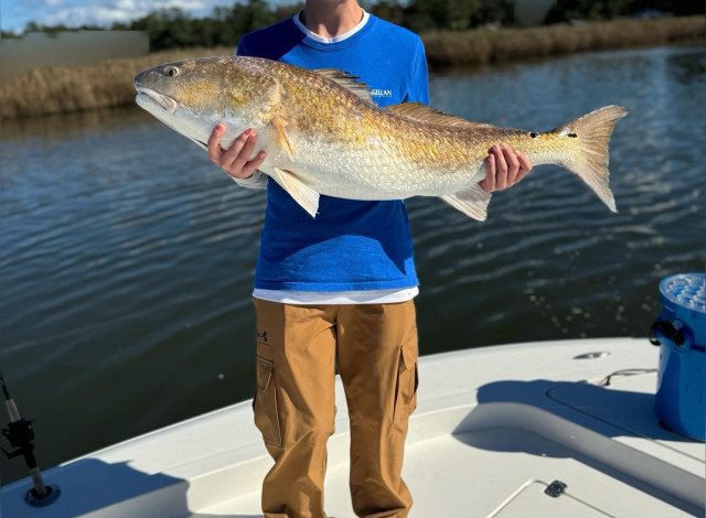 Blue Line Charters, LLC