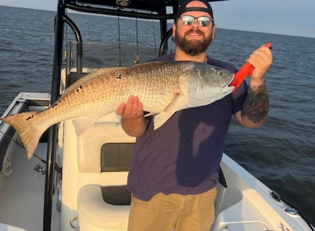 Blue Line Charters, LLC