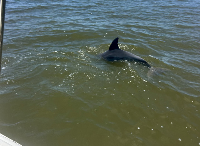 Blue Skies Coastal Charters