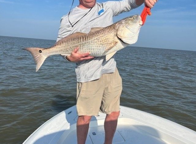 Blue Line Charters, LLC