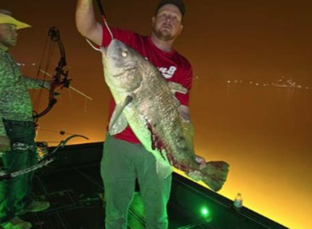 Orange Beach Bowfishing