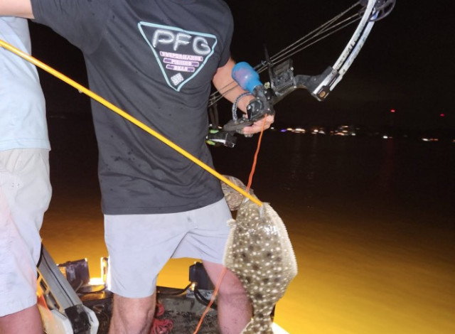 Orange Beach Bowfishing