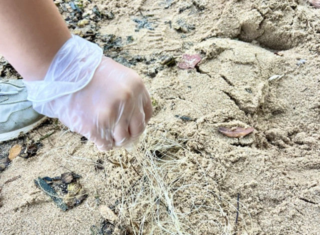8th Annual Fort Morgan Cleanup