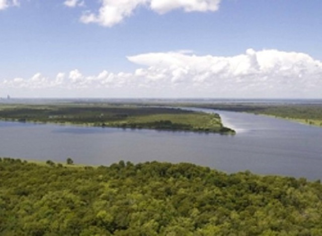 Delta Discovery Cruise from AWF Delta and Bay Conservation Center at Five Rivers
