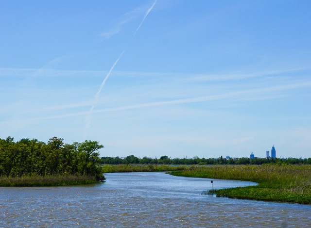 Mobile Bay Dolphin Cruise
