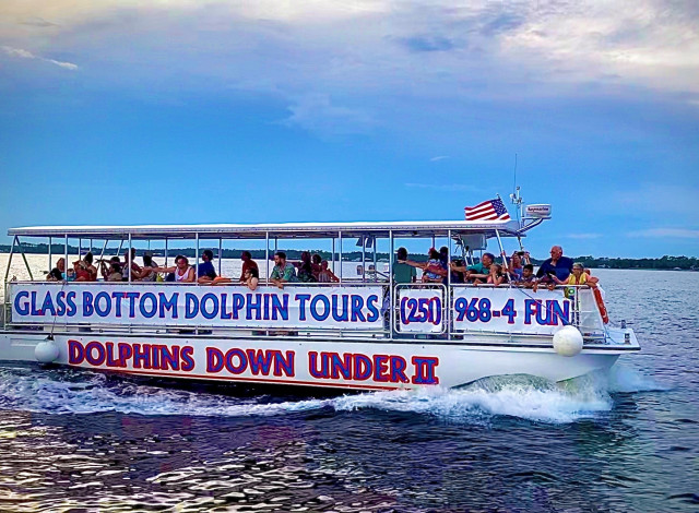 glass bottom boat dolphin cruise orange beach