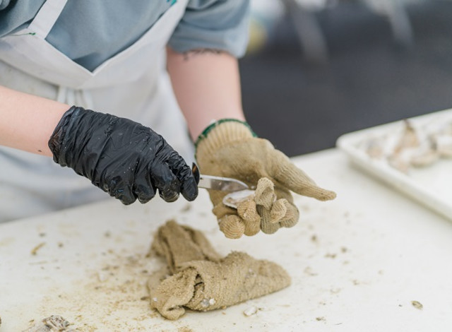 Annual Fort Morgan Oyster Fest