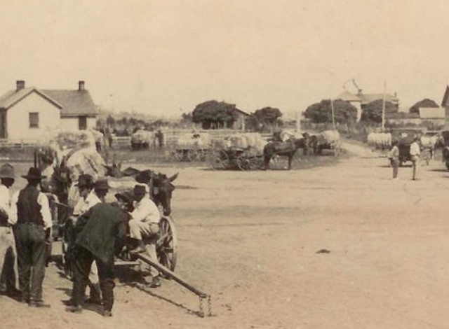 2025 Winter Showcase Series: Lovin' Loxley- A Guided Tour of Loxley's Past, Present, and Future