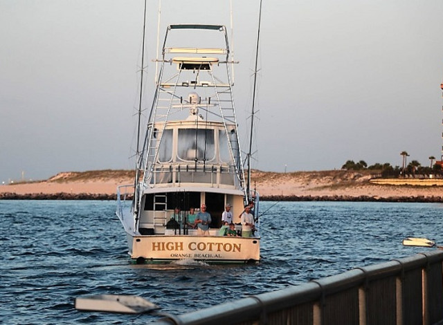 High Cotton Charters