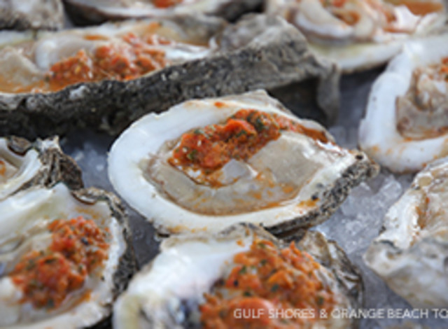 The Steamer and Baked Oyster Bar