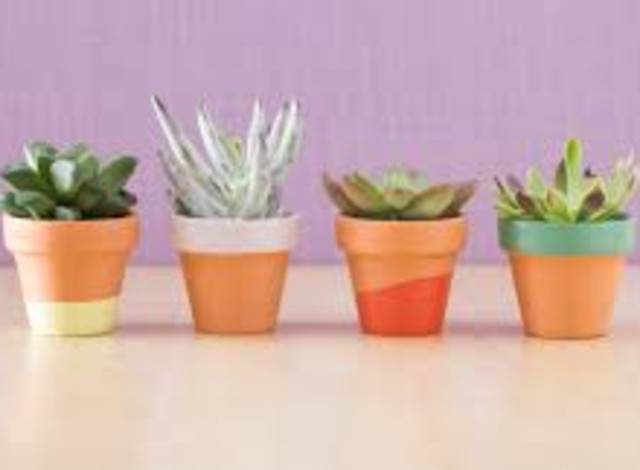 Art al Fresco: Create with Paint - Clay Pot with Succulent