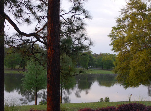 Art in Bloom: Nature & Art Spring Camp