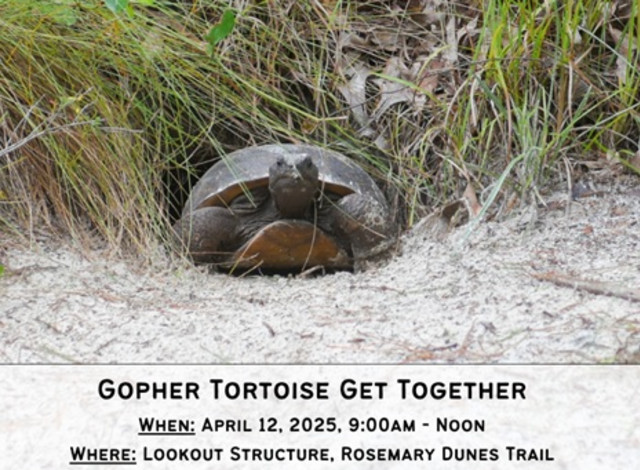 Gopher Tortoise Get Together