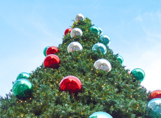 3rd Annual Merry Memories Tinsel Trail