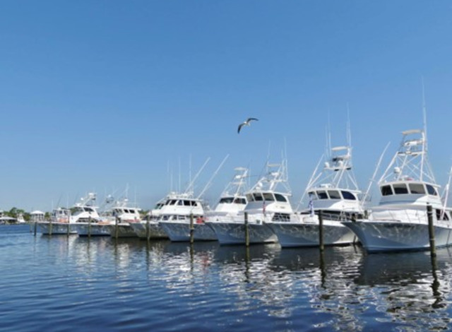 Charter Boat Billfish Tournament