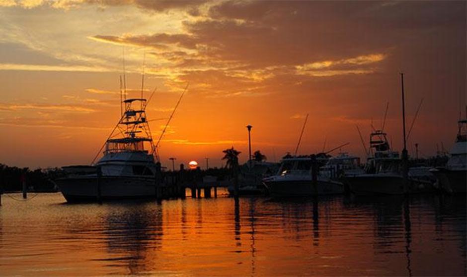 Matheson Hammock Marina Miami Boating/Watersports