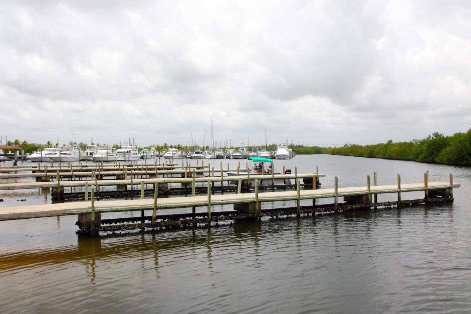 Herbert Hoover Marina at Homestead Bayfront Park Miami Boating