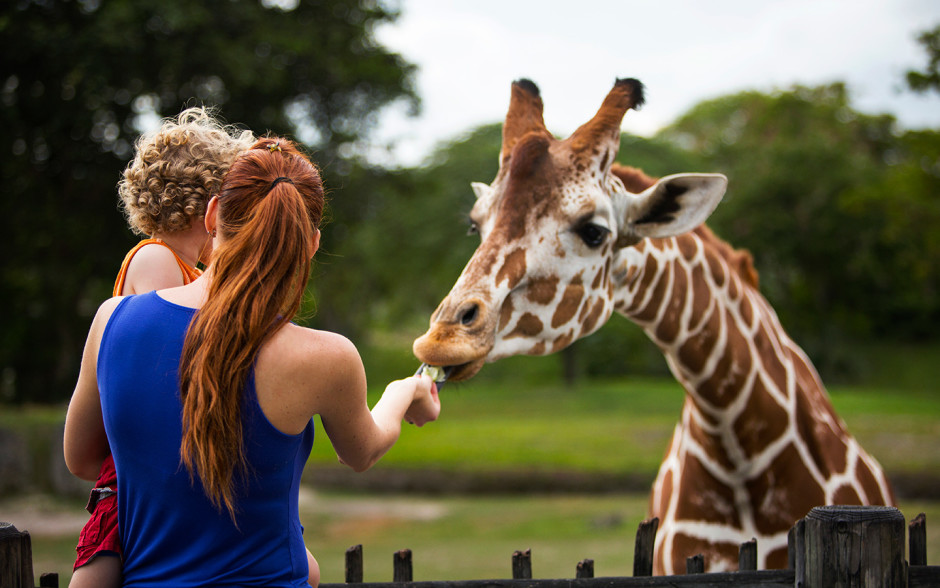 Bogo At Zoo Miami By Zoo Miami Miami Special Offers