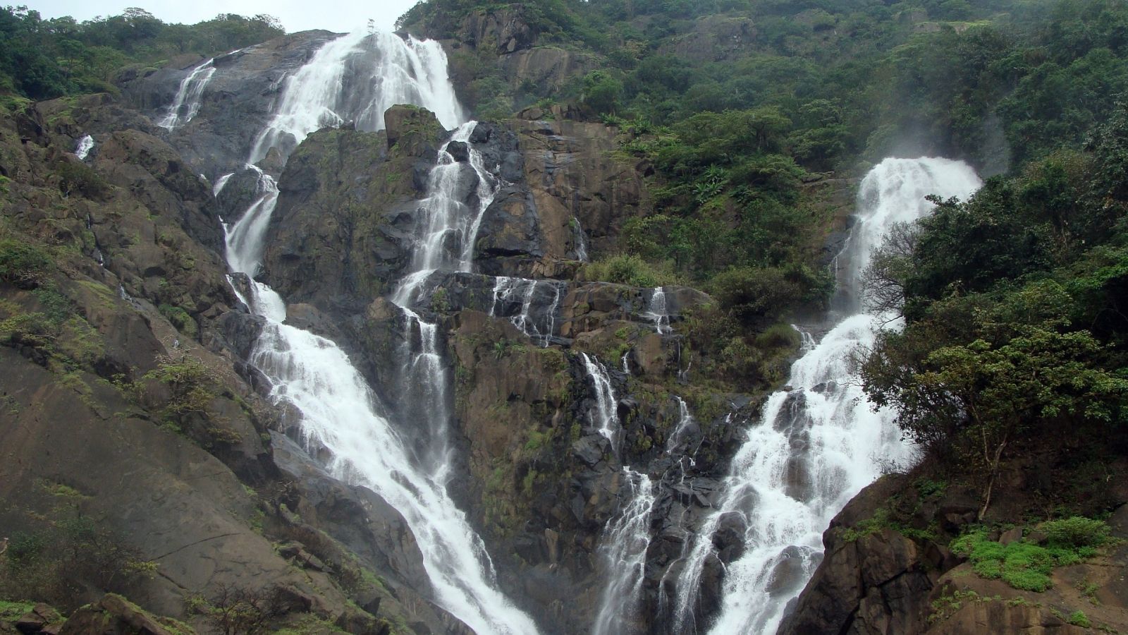 a view of the dudhsagar falls with numerous trees surrounding it