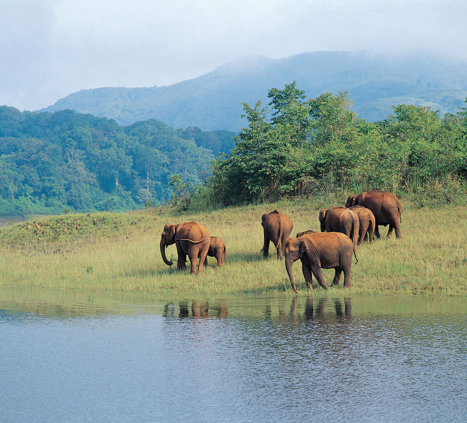 Ambapani-Wildlife-Sanctuary