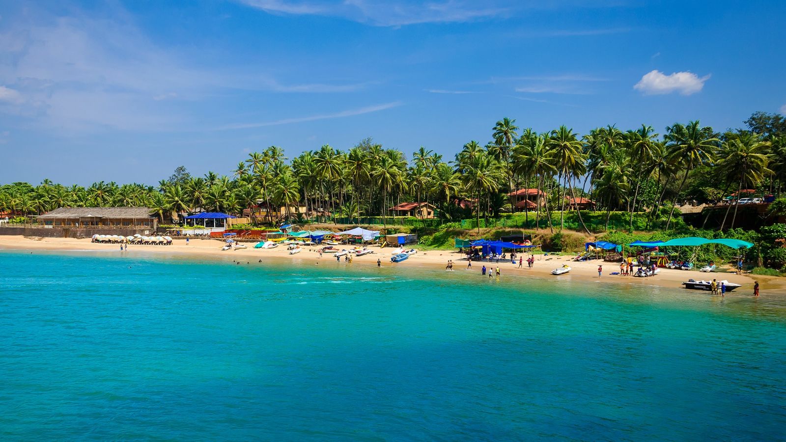 aerial view of a beach with trees in the background