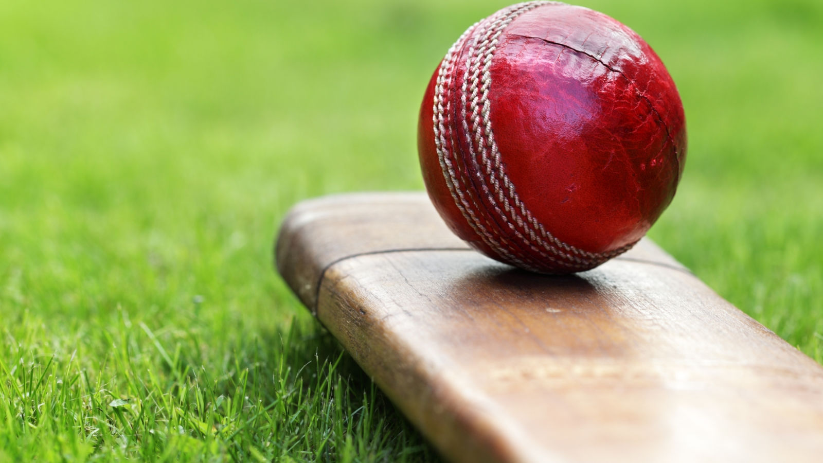 Cricket ball lies on a bat